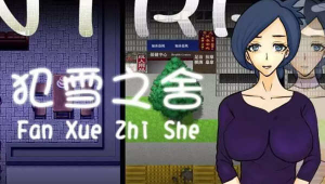 雪之舍 官方中文版 PC+安卓 日式RPG游戏 500M-奈次元丶