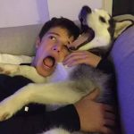 风干鸡的头像-奈次元丶