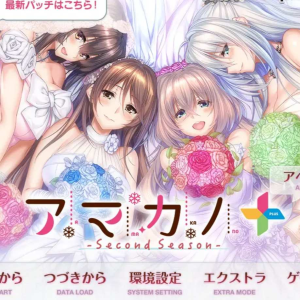 甜蜜女友／甜蜜女友 ～Second Season～ ＋／アマカノ ～Second Season～ -奈次元丶