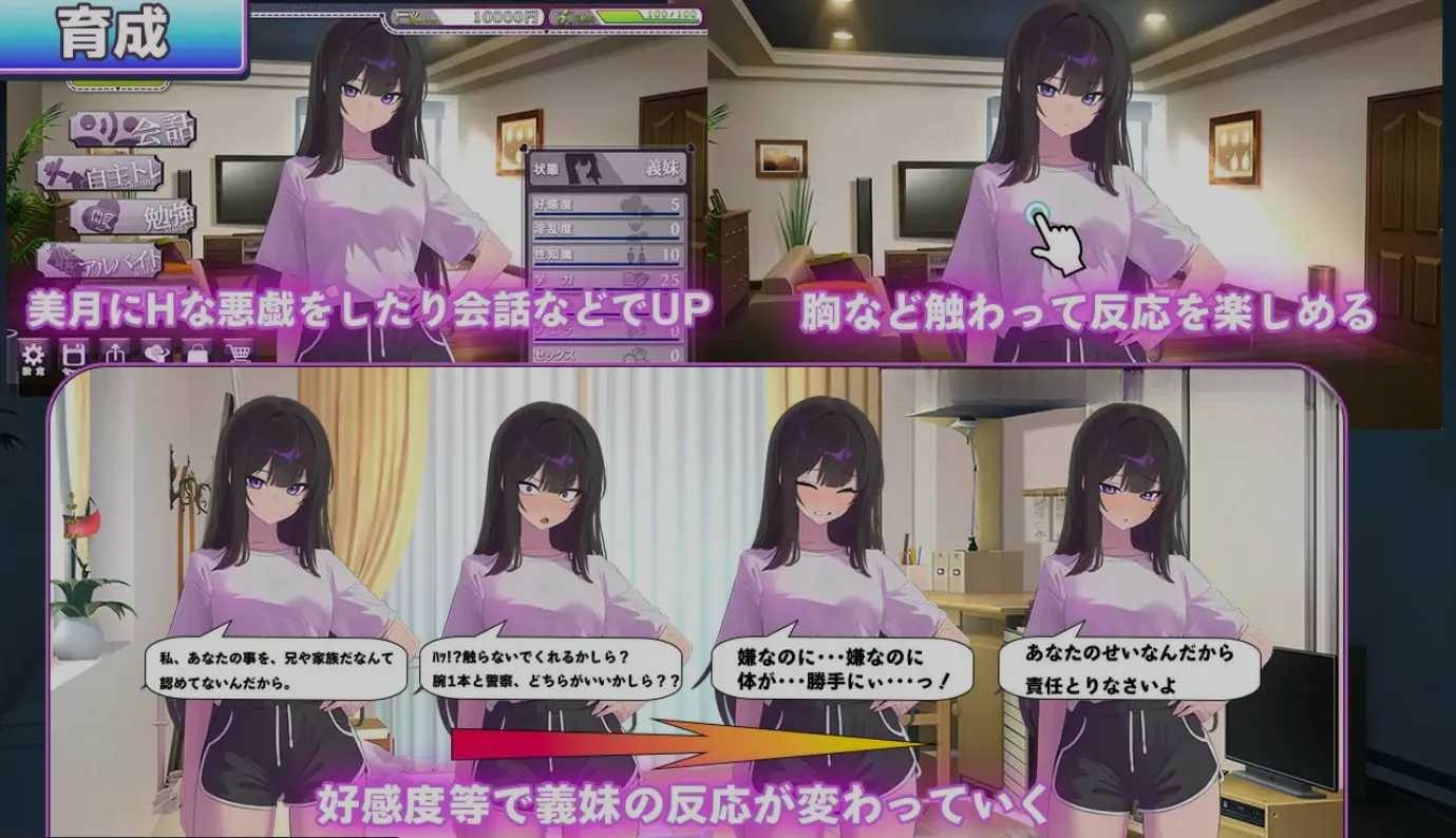 【日式/SLG/机翻/2D/PC/内植】 直到反抗的义妹(你)堕落为止 反抗的な義妹(きみ)が堕ちるまで 机翻版 [1.4G]【5212】-奈次元丶